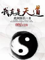 我真是天道 封面