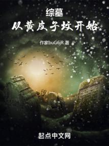 综墓：从黄皮子坟开始 封面