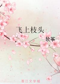 飞上枝头 封面