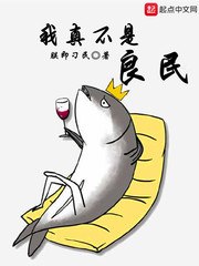 陆安禾厉成扉的小说叫什么名字 封面