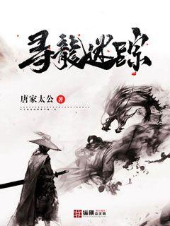 寻龙迷踪 封面