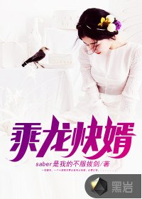 乘龙快婿 封面