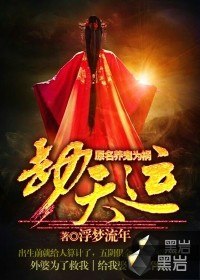夏一天天九儿 封面
