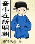 奋斗在新明朝 封面