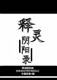 释灵阴阳录 封面