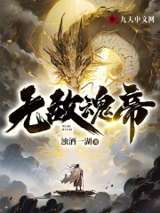 无敌魂帝 封面