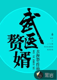 武医赘婿 封面