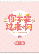 你不要过来啊 封面