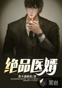 绝品医婿 封面