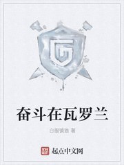奋斗在瓦罗兰 封面