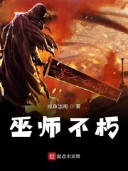 巫师不朽 封面