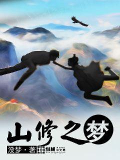 山修之梦 封面