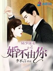 陆少谋妻之婚不由你 封面