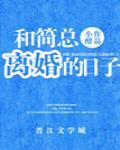 和简总离婚的日子 封面