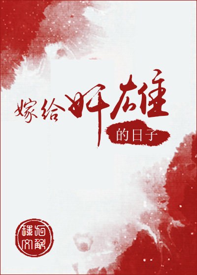 嫁给奸雄的日子 封面