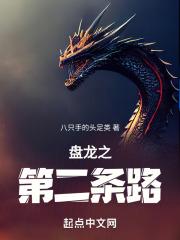 盘龙之第二条路 封面
