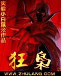 狂枭 封面