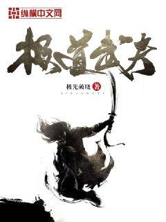 极道武夫 封面