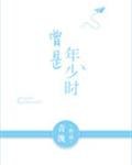 曾是年少时 封面