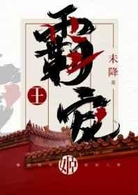 霸王宠姬 封面