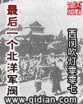 最后一个北洋军阀 封面