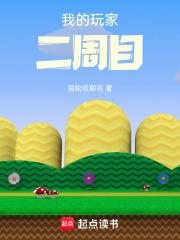 我的玩家二周目 封面