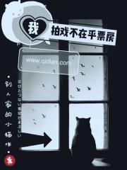 我拍戏不在乎票房 封面