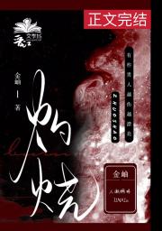 灼烧 封面