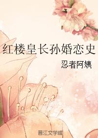 红楼皇长孙婚恋史 封面