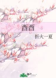 酉酉 封面