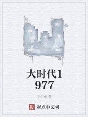 大时代1977 封面