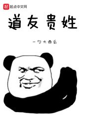 道友贵姓 封面