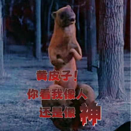 人皮子讨封,黄皮子都懵逼了 封面