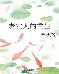 老实人的重生 封面