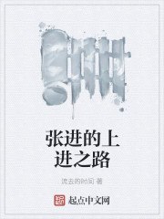 张进的上进之路 封面