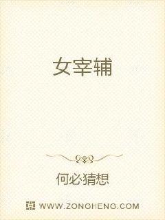 宰辅大人是朵黑莲花 封面