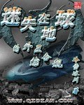 迷失在地球的外星综合舰 封面