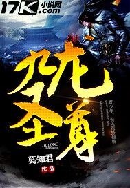 九龙圣尊 封面