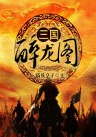 三国醉龙图 封面