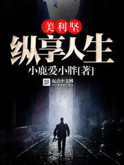 美利坚纵享人生 封面