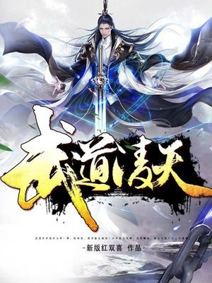 武道凌天 封面