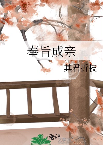 奉旨成亲 封面