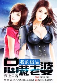 我的极品总裁老婆 封面