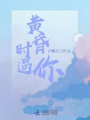 黄昏时遇你 封面