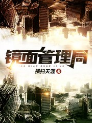 镜面管理局 封面
