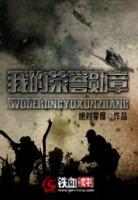 我的荣誉勋章 封面