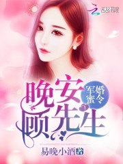 军婚蜜令:晚安,顾先生 封面