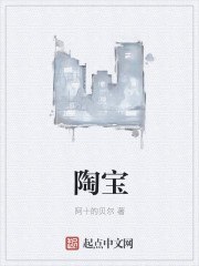 陶宝 封面