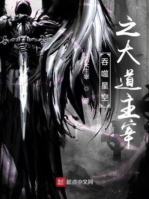 吞噬星空之大道主宰 封面