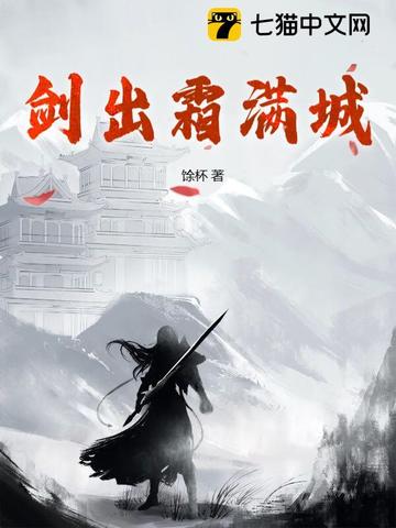 剑出霜满城 封面